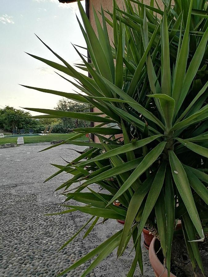B&B Ronco Degli Ulivi Iseo Exterior photo